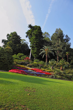 在公園里美妙的花圃