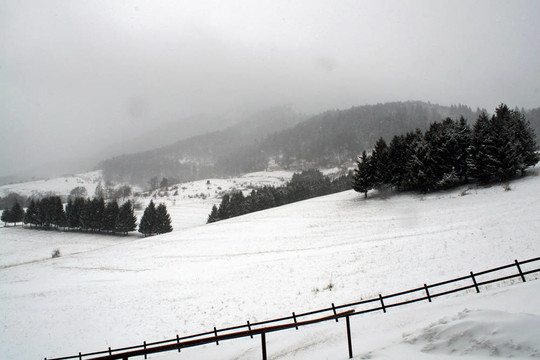 冬季暴雪期間山地和冬季樹木景觀
