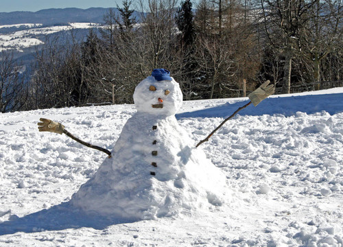 冬天在山里為孩子們玩的雪人