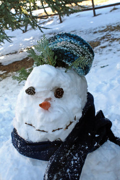 冬天在山里為孩子們玩的雪人