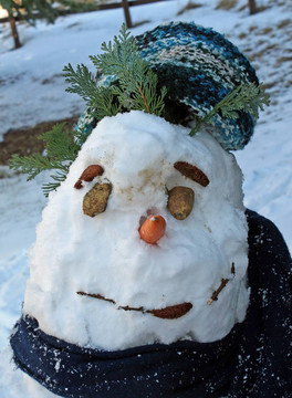冬天在山里為孩子們玩的雪人