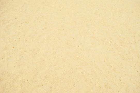 沙