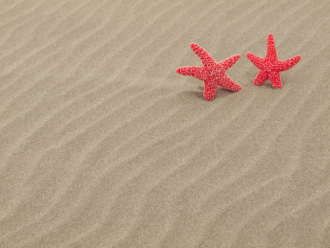 紅海星在沙灘上，海風(fēng)吹拂的沙紋