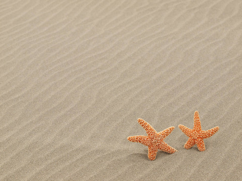海灘上的兩個海星暴風(fēng)肆虐的沙紋