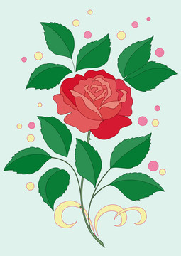 玫瑰的花