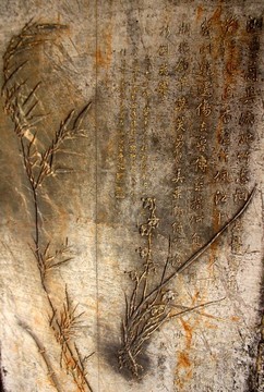 中國古代書法