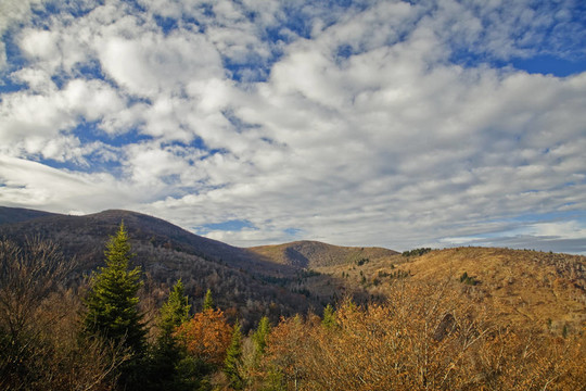 秋天；Graveyard Fields Area