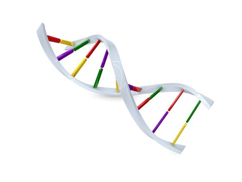 DNA