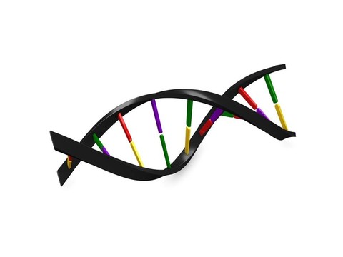 DNA