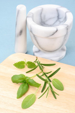 草本植物