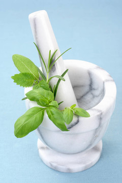 草本植物