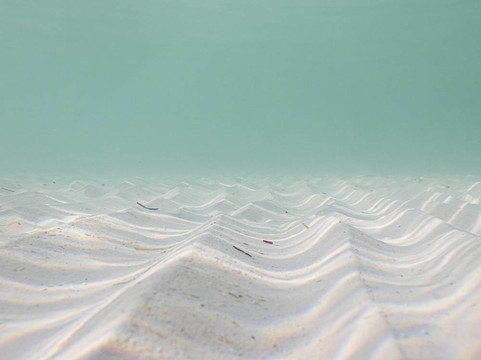 在海