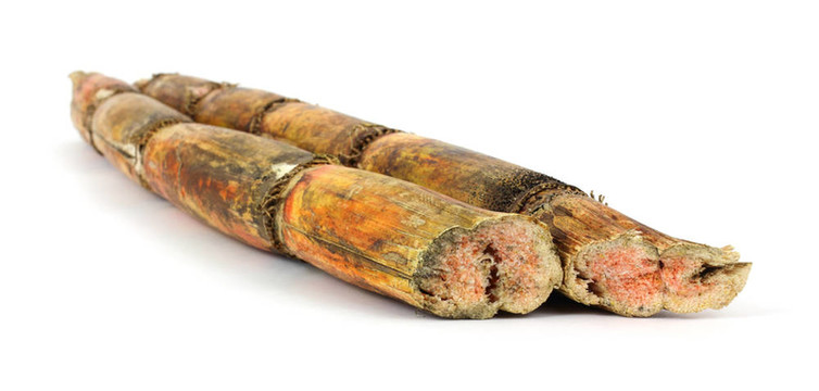 兩個(gè)甘蔗莖