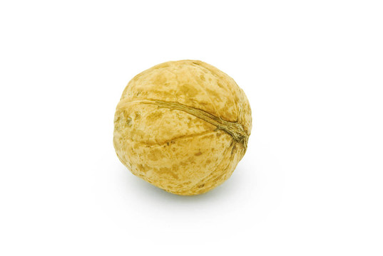 核桃