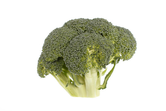新鮮花椰菜的頭
