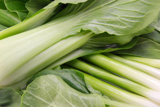 亞洲蔬菜