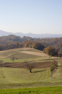 山