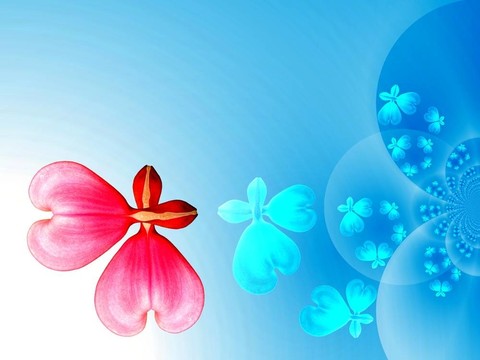 心中的花
