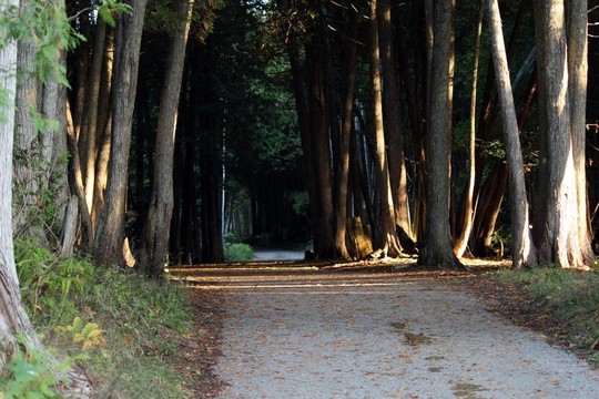 在麥基諾島回來的路