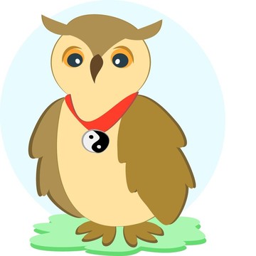 Yin Yang Collar與Wise Owl