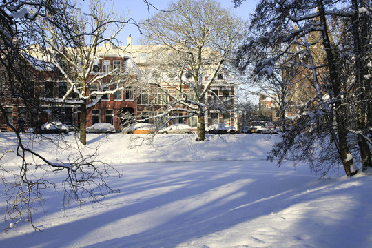 公園里的雪