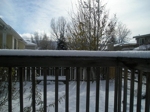 冬天的雪。
