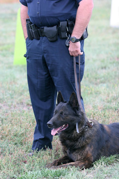 警犬
