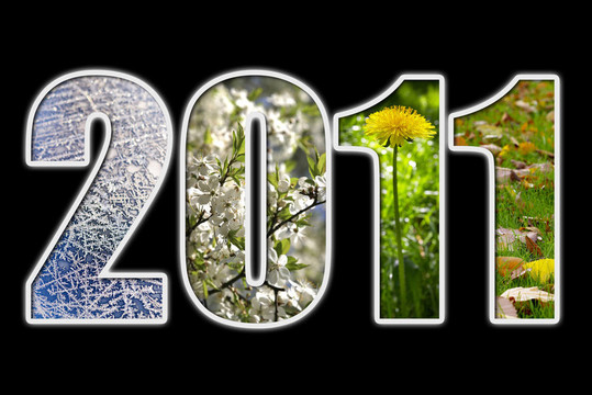 2011新的一年