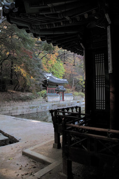 韓國(guó)的傳統(tǒng)