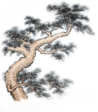 古松 蒼松