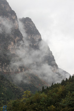 秋溝