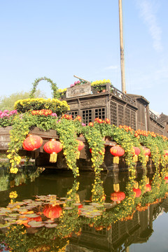 菊花