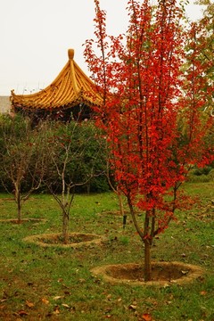 f風景