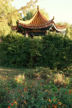 風(fēng)景