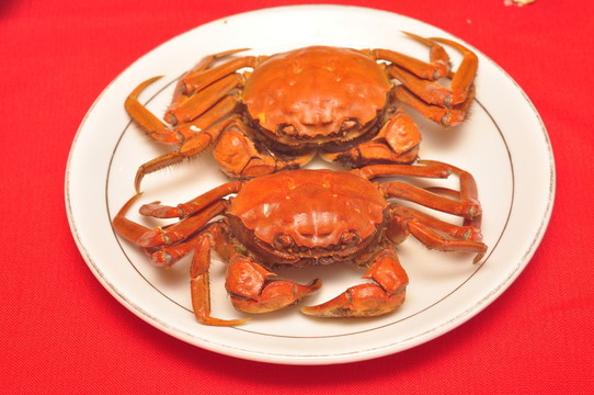 陽(yáng)澄湖大閘蟹