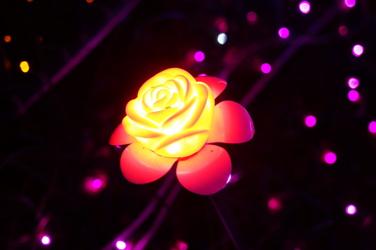 燈會(huì)