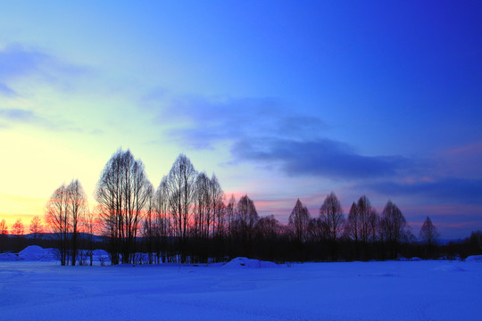 雪原樹林暮色