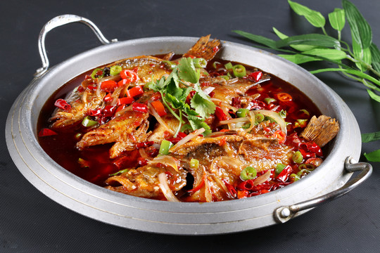 臭桂魚