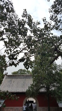 八大處風(fēng)光