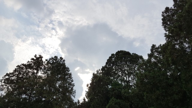 八大處風光