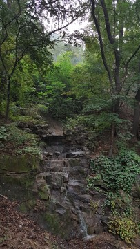 香山清泉
