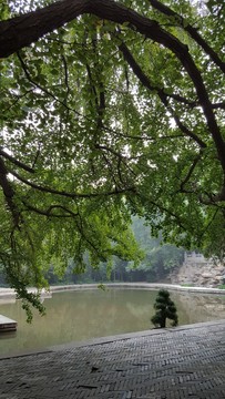 香山靜翠湖