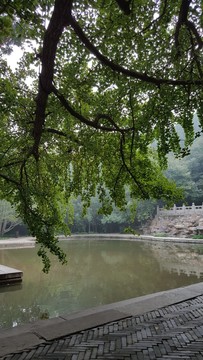 香山靜翠湖