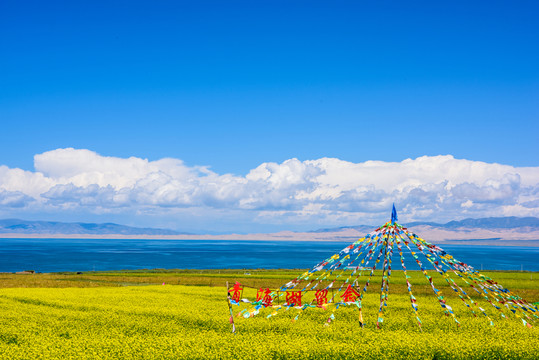 青海湖風光