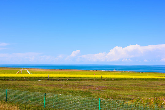 青海湖風(fēng)光