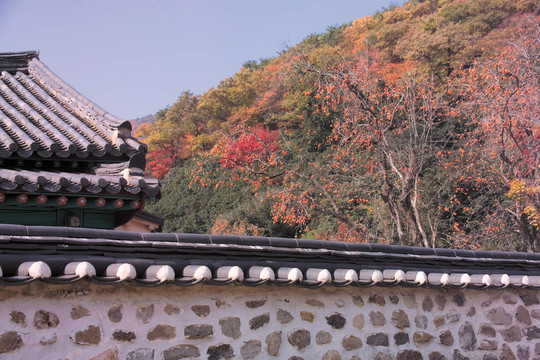 韓國寺