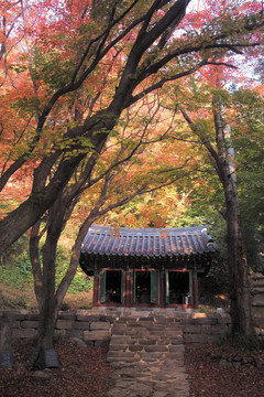 韓國(guó)的傳統(tǒng)