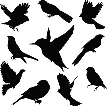 集合鳥(niǎo)類
