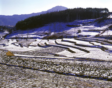 季節(jié)性