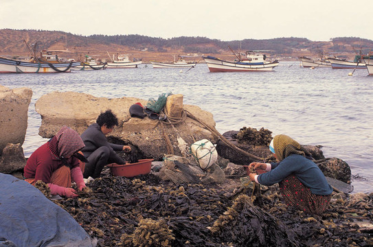 海村